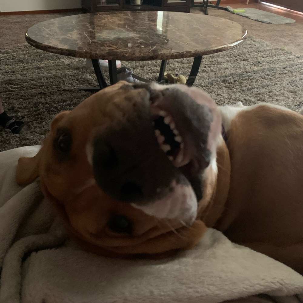 Meet your Posher, Angel